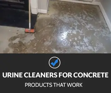 Best Urine Enzyme Cleaners for Concrete