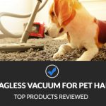 Best Bagless Vacuum for Pet Hair